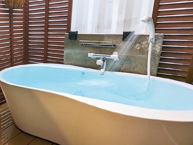 Micro nano bubble shower