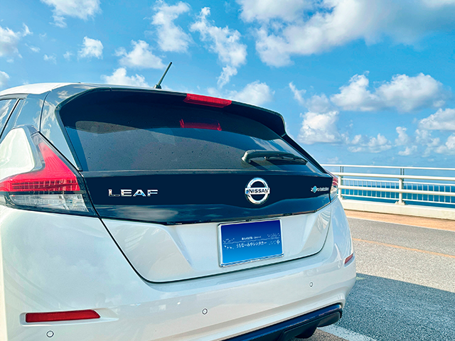 Rental EV Car