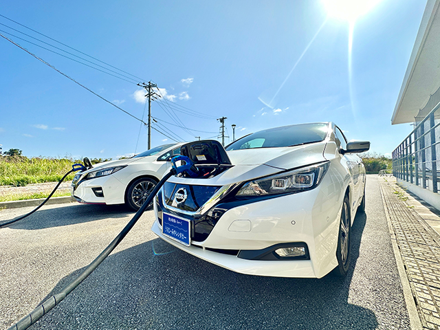 Rental EV Car